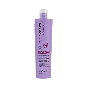 INEBRYA RECONSTRUCTOR SHAMPOO